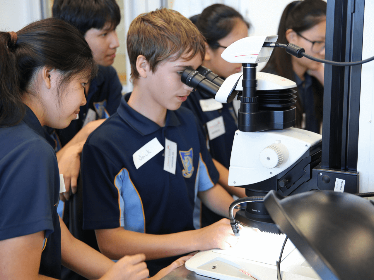 School and University 1