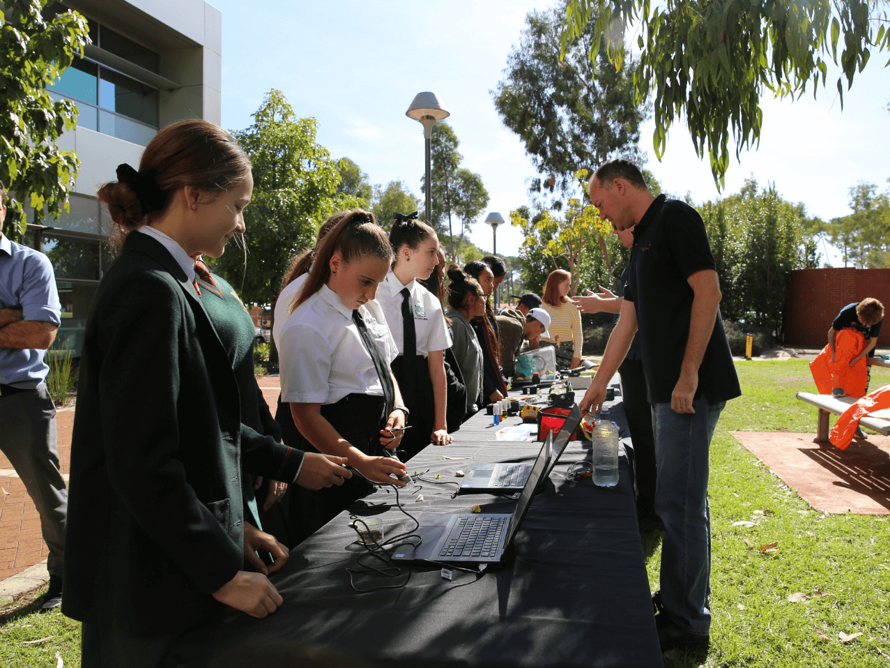 School and University 4