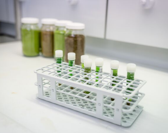 Putting cannabis to the test - ChemCentre