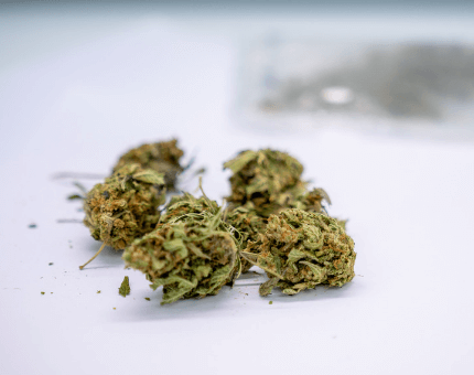 Medicinal Cannabis and Industrial Hemp