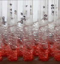 Forensic Toxicology