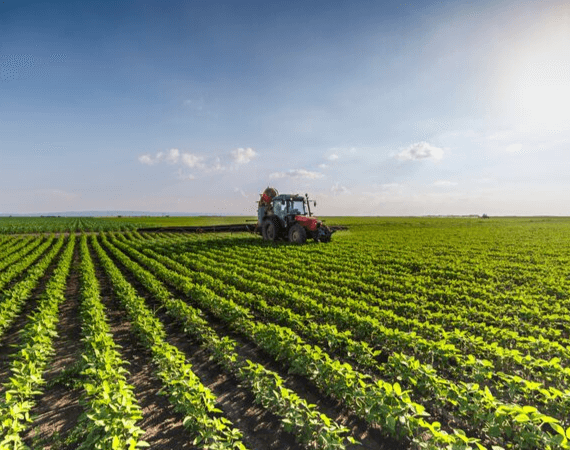 Soil Testing to Optimise Agricultural Production