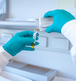 Workplace Drug Testing